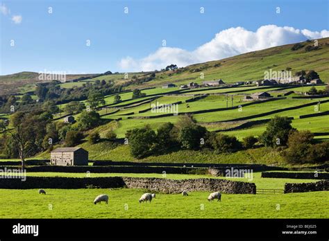 Yorkshire Dales Paesaggio Paesaggio Del Regno Unito Swaledale North