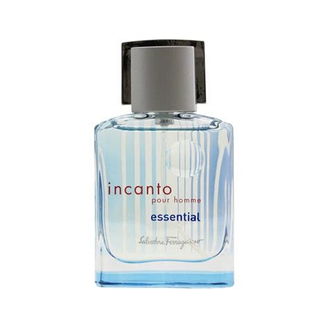 Incanto Essential Edt Ml For Men Https Perfumeuae