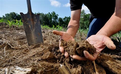 Soil Conservation Methods A Guide Verdesian