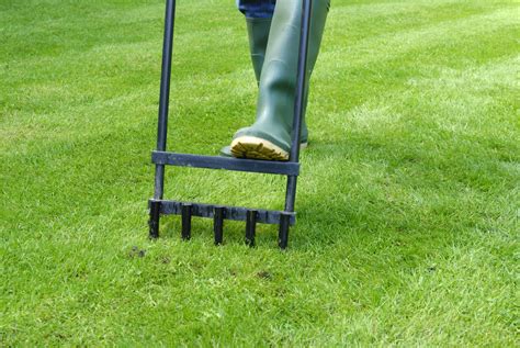 How to Aerate Your Lawn to Encourage Grass Growth