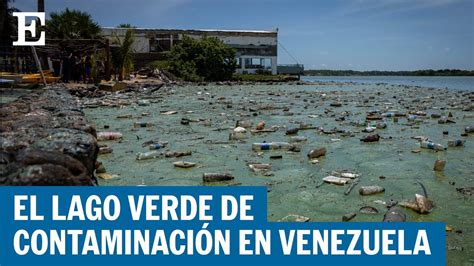 Venezuela El Lago Maracaibo Se Vuelve Una Nata Verde De Contaminaci N