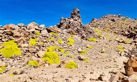 Volcan Caldera Nuevo Mundo Odeszatravel