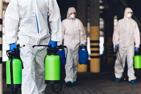 What Are The Responsibilities Of Forensic Cleaners