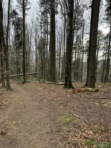 Best Trail Running Trails In Medvednica Nature Park Alltrails