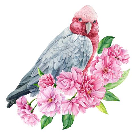 Parrot On Flowering Branch Sakura Flowers Spring Birds Watercolor