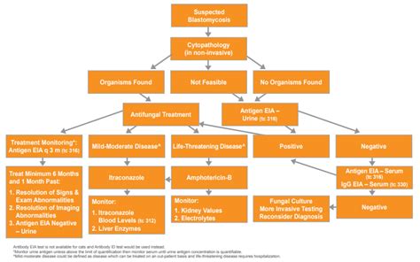 Blastomycosis Algorithm - MiraVista VETERINARY Diagnostics