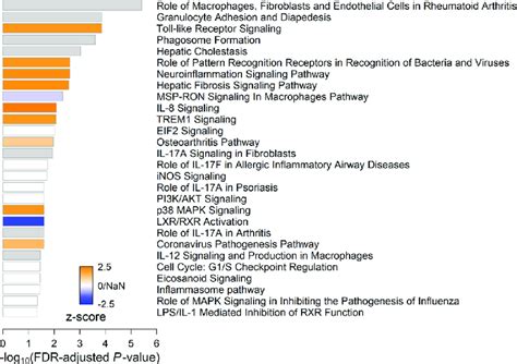 IPA Canonical Pathways Analysis On Common Leading Edge Genes From Gene