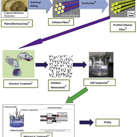 Different Methods Used For The Bleaching Process Of Cellulose Fibers