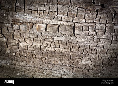 Old Cracked Wood Texture Background Stock Photo Alamy