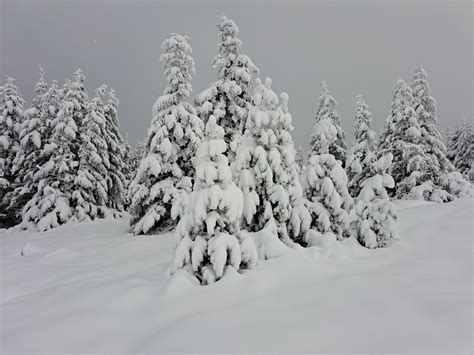 François Jobard on Twitter RT VincentLhermet Épisode de neige