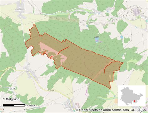 Mittelgrund - NATUR.WALD.WANDEL | NATUR.WALD.WANDEL