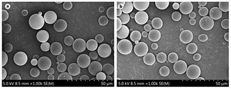 Porous Chitosannano Hydroxyapatite Composite Scaffolds Incorporating