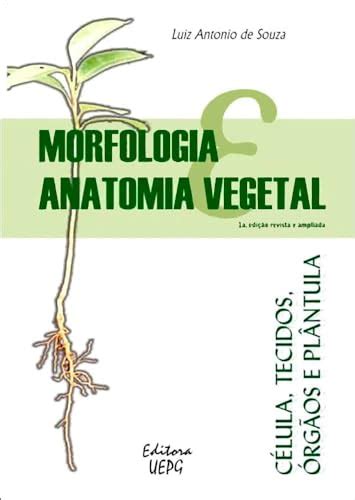 Morfologia Anatomia Vegetal Celulas Tecidos Orgaos E Plntula Luiz