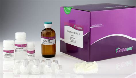 Rnasimple Total Rna Kit Tiangen Biotech Rna Dna