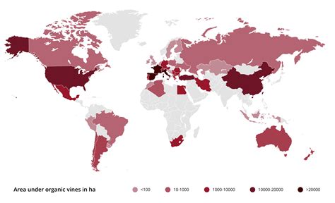 Evolution of organic viticulture worldwide | Agrovin