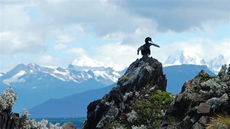 Come Organizzare Un Viaggio In Patagonia Argentina Patagonia