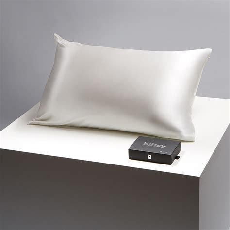 Blissy 100% Mulberry 22-Momme Silk Pillowcase - White - Queen