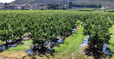 El Baix Cinca la Llitera i el Cinca Mitjà tornen a la fase 2 per un