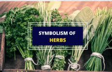 Symbolism of Herbs - A List - Symbol Sage