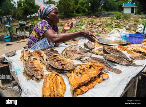 Dunga Fishing Village Near Kisumu Kenya March Th A Woman