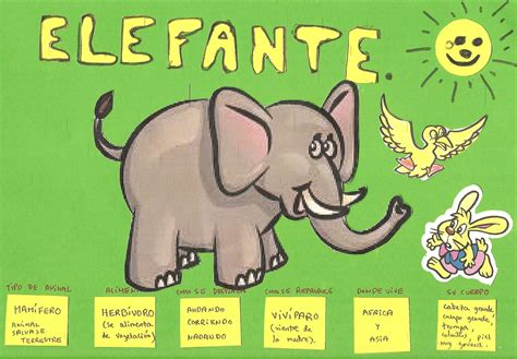 El Elefante Donde Vive