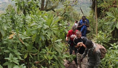 Day Mount Bisoke Hiking Tour Crater Lake Hike