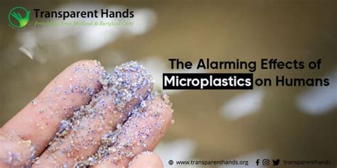 The Alarming Effects of Microplastics on Humans