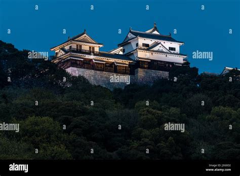 Japan, Ehime, Matsuyama Castle. Night time view of the tenshu, keep ...