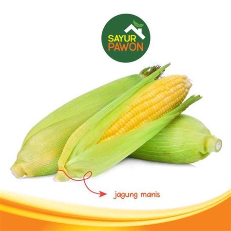 Jual Jagung Manis Segar Kg Sayur Pawon Jogja Halal Di Seller Sayur