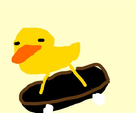 Skater Duck Drawception