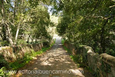 Puente De La Malena Camino De Santiago