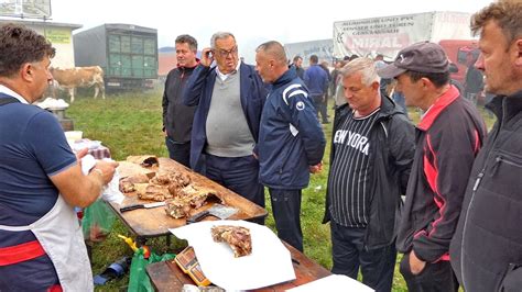 Dernek Lučin u Bugojnu veliki broj pazara krave konji ovce koze