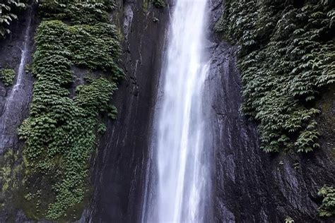 Private Tour Sekumpul Und Munduk Wasserfall Nord Bali Zur Verf Gung