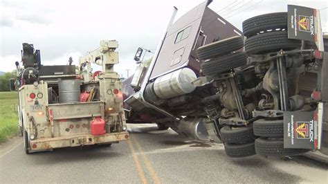 Un autocamion încărcat cu 130 de milioane de albine s a răsturnat