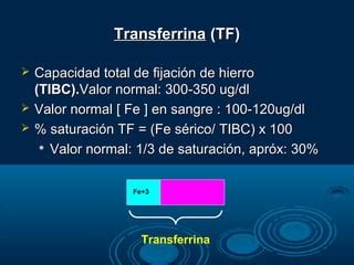 Metabolismo Del Hierro Y Del Grupo Hemo PPT