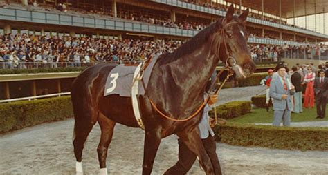 Ruffian's Tragedy: The Story Behind Arguably Horse Racing's Greatest