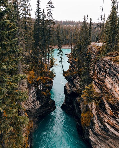 88 best Athabasca Falls images on Pholder | Earth Porn, Pics and Most Beautiful