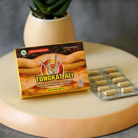 Kapsul Tongkat Ali Jamu Untuk Kesehatan Isi 20 Kapsul Bpom Dan Halal