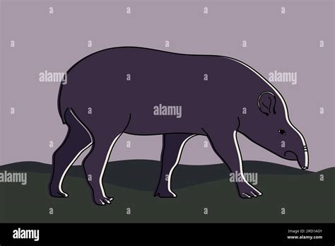 Tapir outline hi-res stock photography and images - Alamy