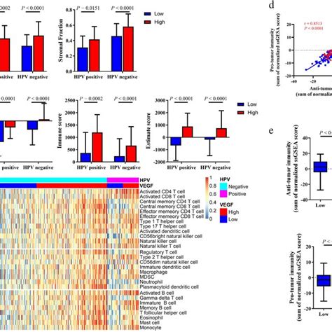 Immune Cell Infiltration Patterns Of Two Vegf Score Subtypes In