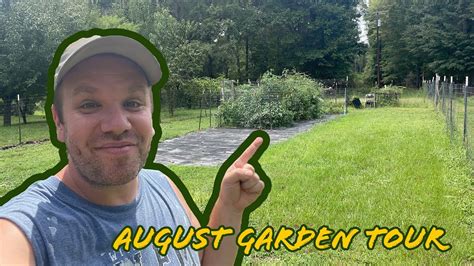 August Garden Tour Winter Squash Update Youtube