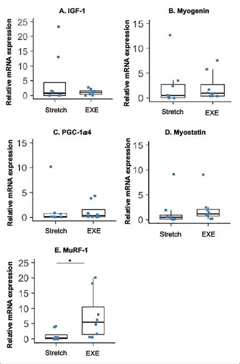 mRNA expression of a IGF 1 b myogenin c PGC 1α4 d myostatin