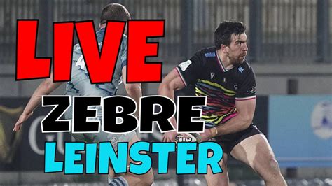 LIVE ZEBRE LEINSTER Commentiamo Assieme La Prima Partita Delle