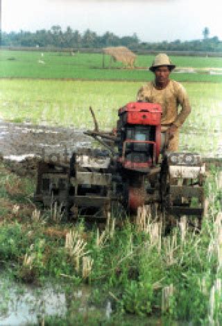 Petani Membajak Sawah Dengan Traktor Di Karawang Datatempo