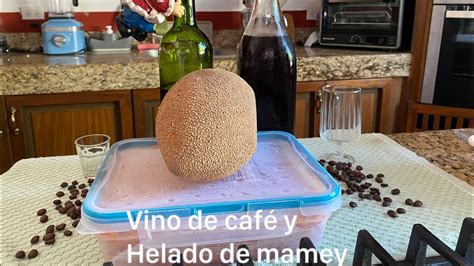 Helado De Mamey Con Kéfir De Leche Y Vino De Café Con Fermento Casero