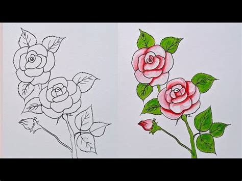 How To Draw Rose Flowers Step By Step Beautiful Rose Drawing Rose