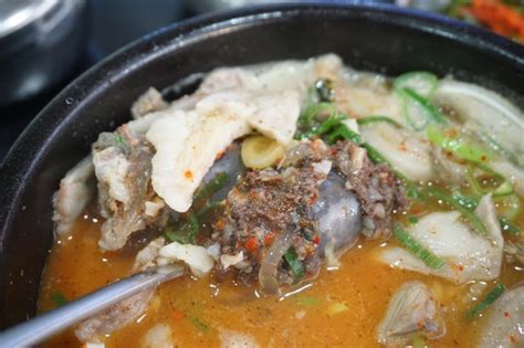 강창구 찹쌀 진순대 구리 본점 순대국밥 맛집 네이버 블로그