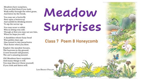 Meadow Surprises Class 7 Poem 8 Explanation In English Youtube