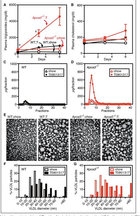 Figure From Critical Role Of Srebp C Large Vldl Pathway In