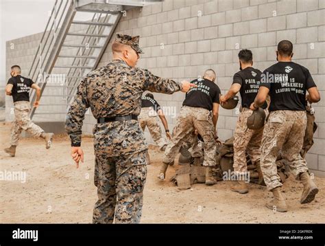 U S Marine Corps Staff Sgt Dylan Williams A Senior Drill Instructor